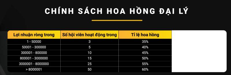 Hoa hồng hấp dẫn lên đến 60%